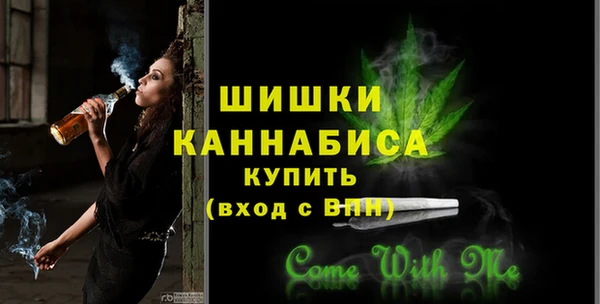 спиды Пересвет
