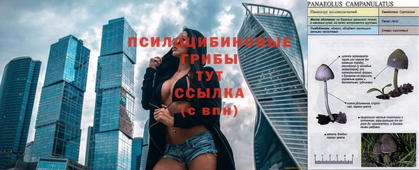 mix Пестово