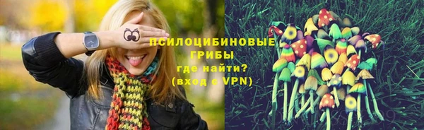 спиды Пересвет
