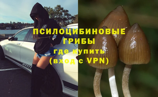 спиды Пересвет