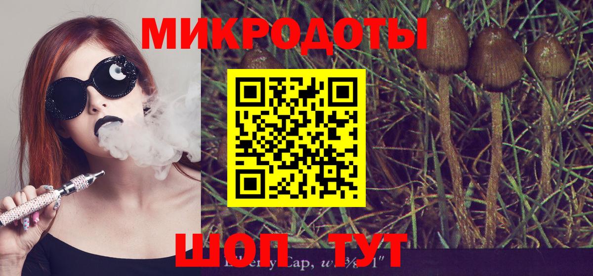 Галлюциногенные грибы Psilocybe  Вход с VPN  даркнет сайт  Сокол 
